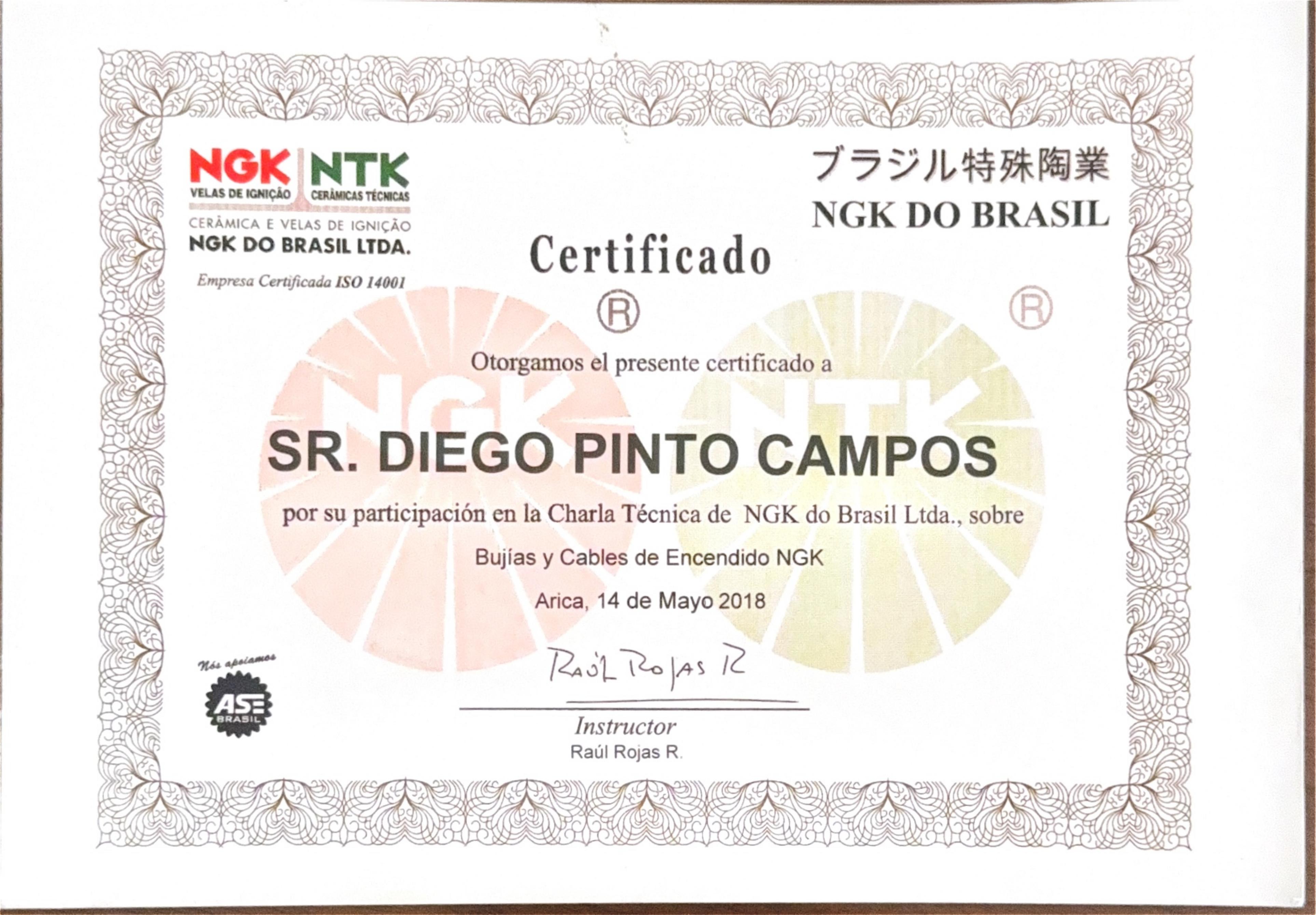 Certificado 11